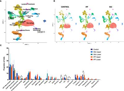 Disparate Interferon Signaling and Shared Aberrant Basaloid Cells in Single-Cell Profiling of Idiopathic Pulmonary Fibrosis and Systemic Sclerosis-Associated Interstitial Lung Disease